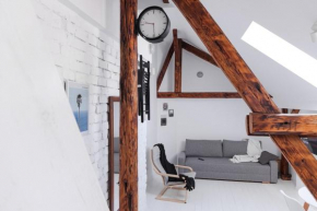Lovely attic, Belgrade city center